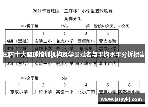 国内十大篮球培训机构及学员姓名与平均水平分析报告