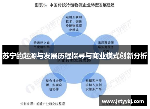 苏宁的起源与发展历程探寻与商业模式创新分析